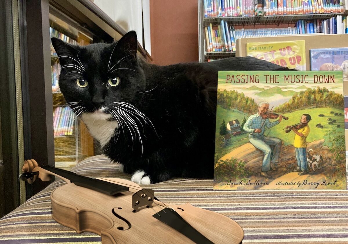 Adorable photo of a cat with a violin
