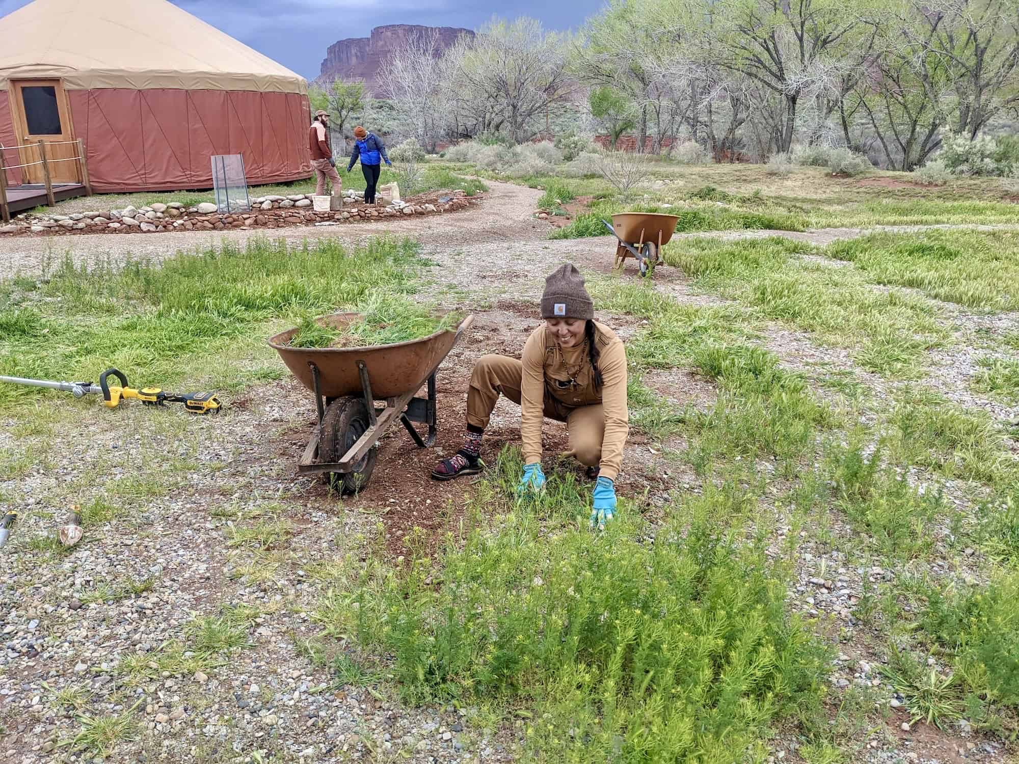 Brandi Atene is wearing gardening gloves to pull out weeds from the ground; she's putting the weeds into a wheelbarrow. She's smiling.
