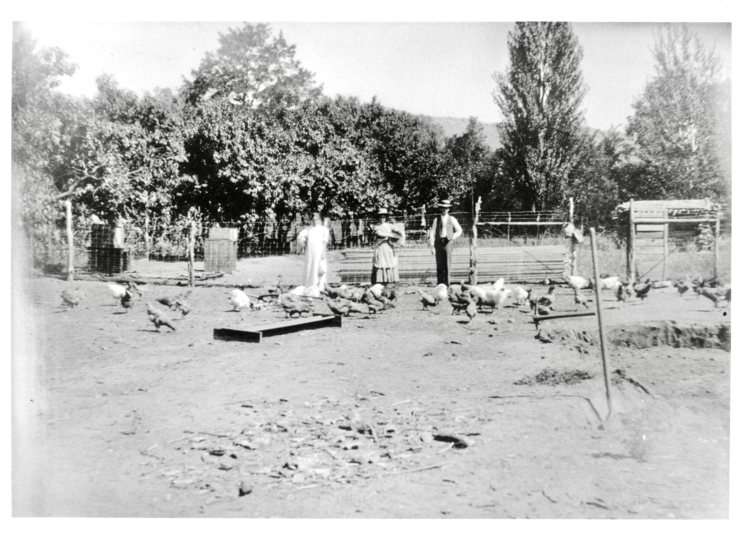 A group of historic Moabites stand in their chicken patch. There are over 20 chickens.