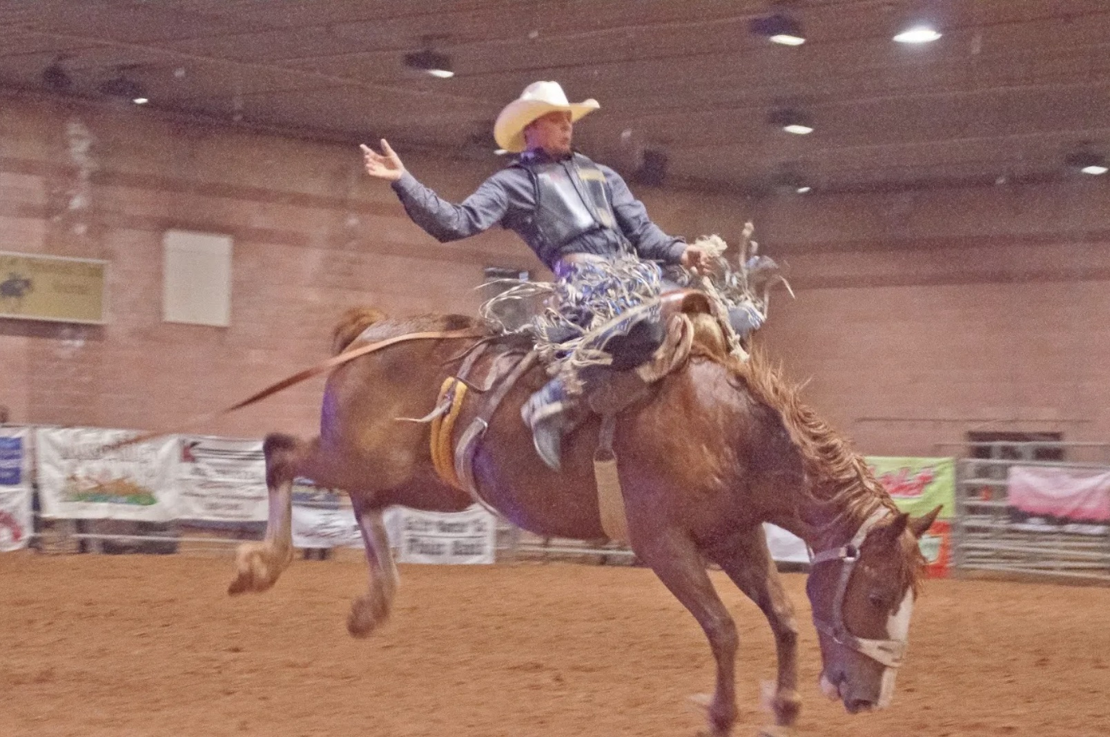 A cowboy holds on for dear life to a bucking bronco