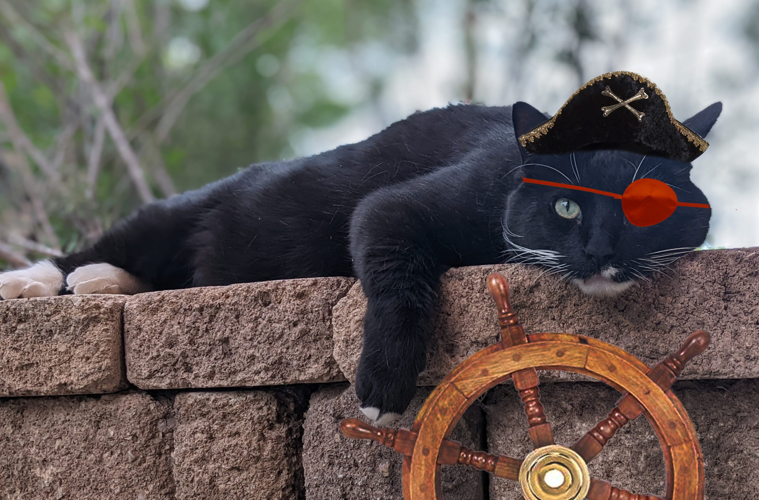 Cosmo is laying on top of a brick wall: photoshopped onto him are an eye patch and pirate hat. His front paw, reaching over the wall, looks like it's steering a photoshopped wheel.