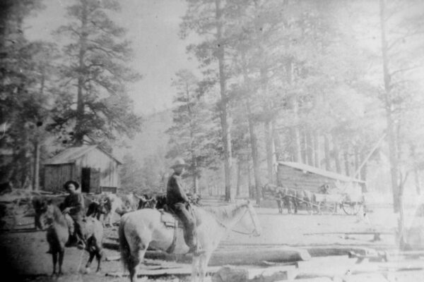 An old, slightly blurry black and white photograph showing Dan McCollum atop a horse in the midst of a dense pine forest.