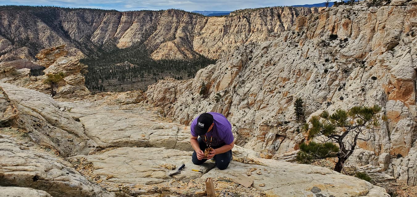 Steve Leavitt crouches down to observe lichen; he is in a massive rock field.