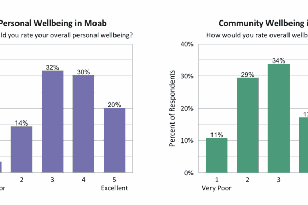 A screenshot of two graphs showing how people ranked personal and community wellbeing. Personal ranks: 1 (3%); 2 (14%); 3 (32%); 4 (30%); 5 (20%). Community ranks: 1 (11%); 2 (29%); 3 (34%); 4 (17%); 5 (9%)