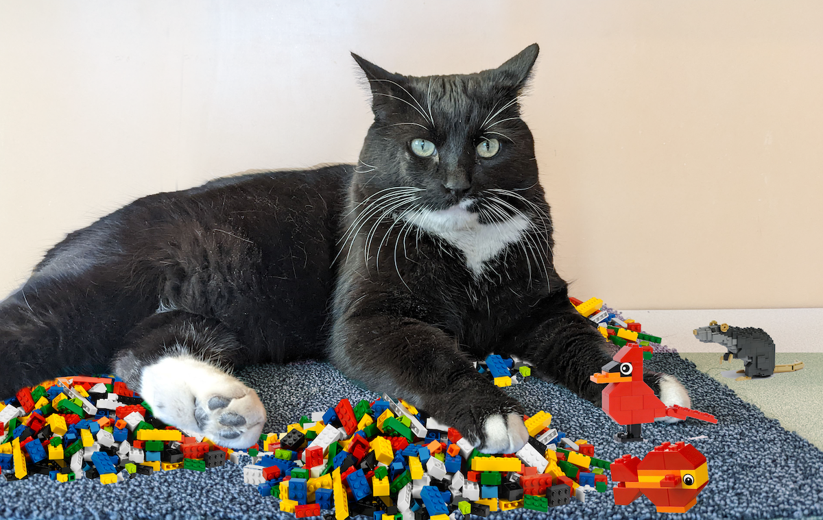 Cosmo the cat is photoshopped into a pile of Legos: near him is a Lego bird, fish, and mouse.