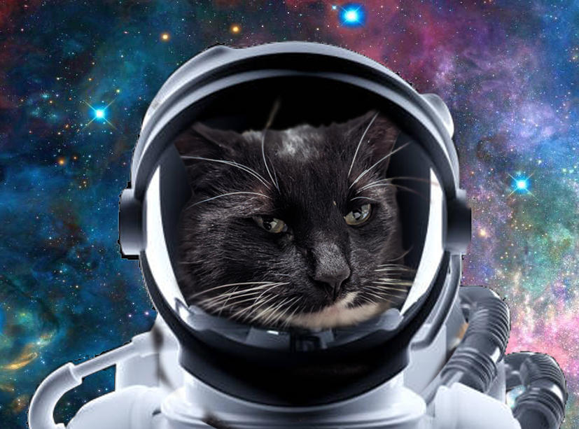 Cosmo is photoshopped into an astronaut costume.