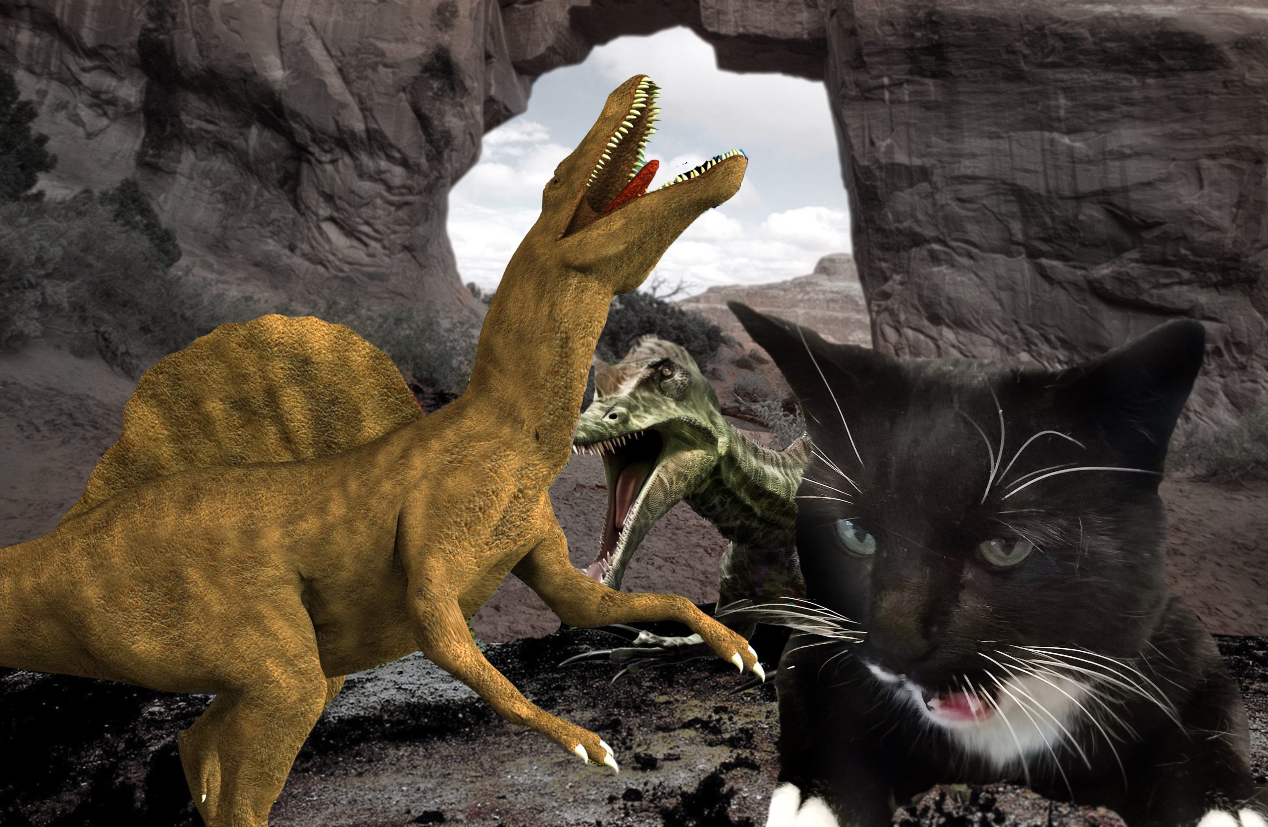 Cosmo snarling, photoshopped into a depiction of two dinosaurs fighting.