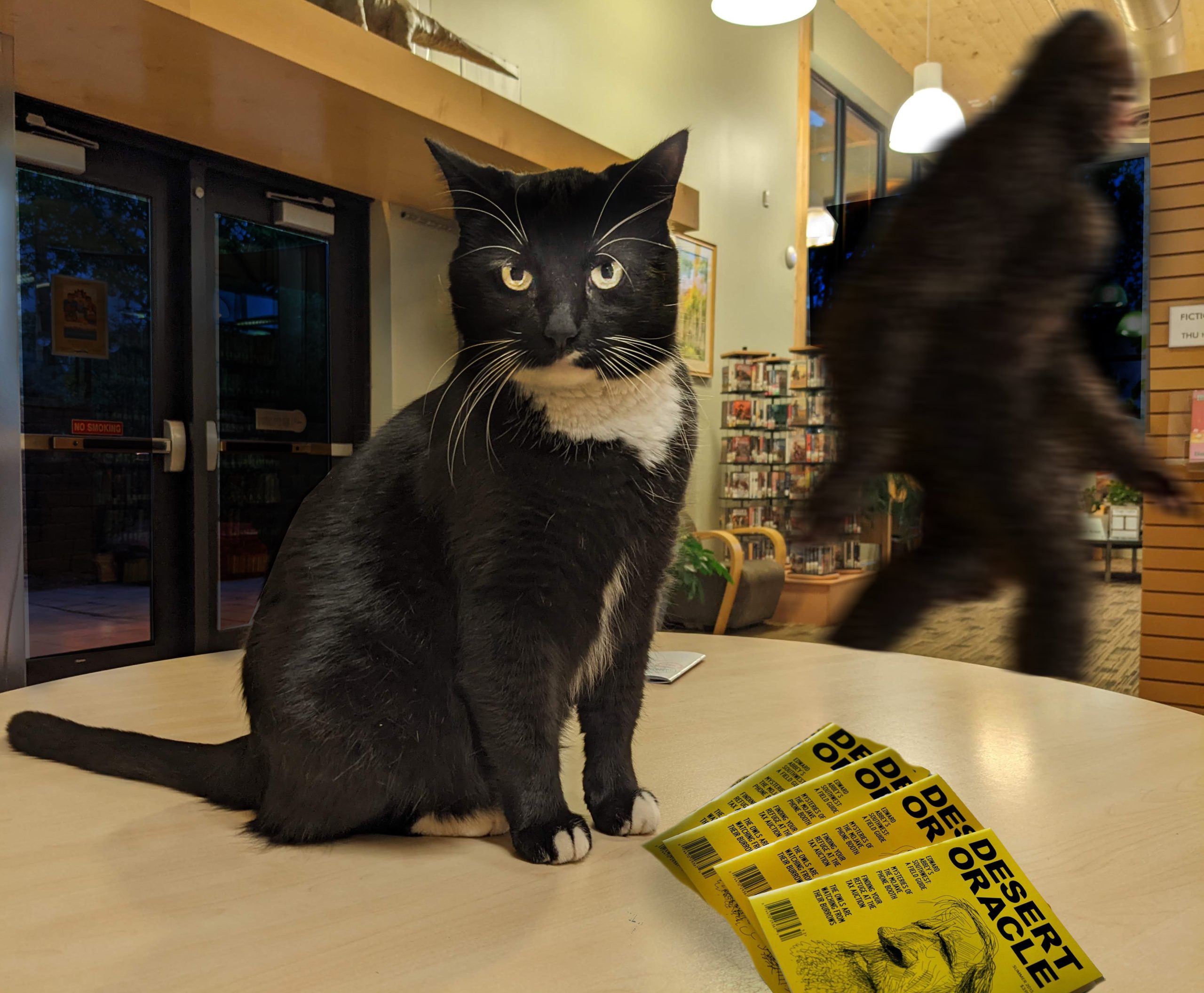 Cosmo is sitting on a table with a stack of "Desert Oracle" magazines. Behind him, something terrifying is running past: it's the Yucca Man, who looks like bigfoot.