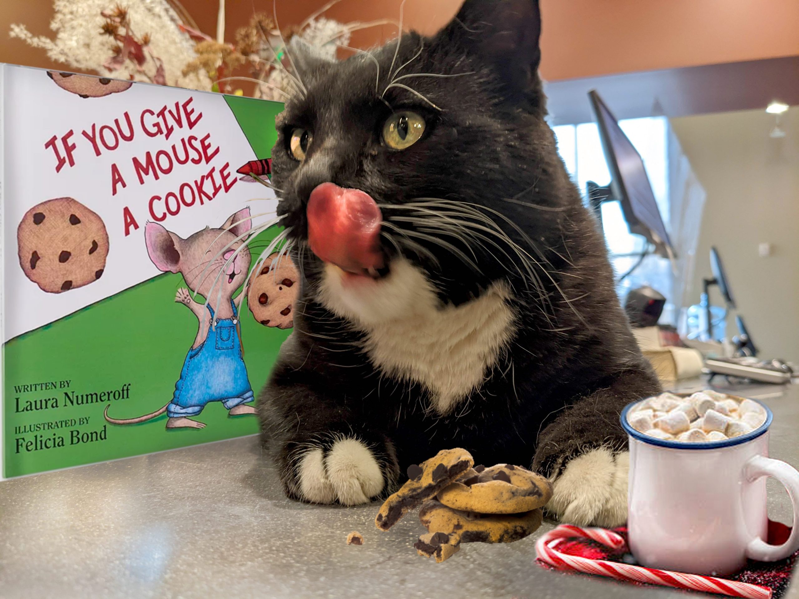 Cosmo is photoshopped to look like he's enjoying some chocolate chip cookies and hot cocoa as he reads the book, "If You Give a Mouse a Cookie."