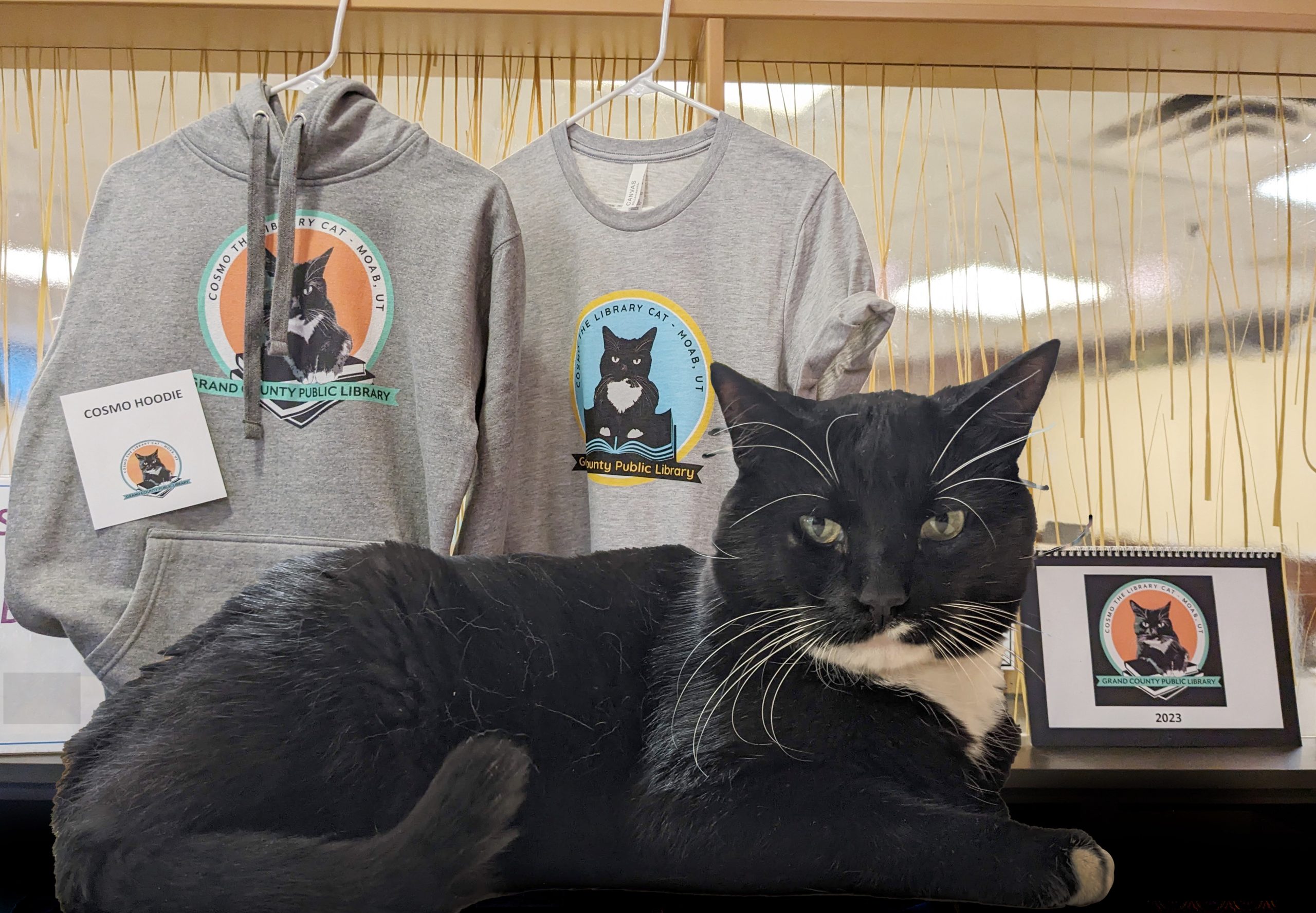 Cosmo laying in front of the Cosmo merch at the library, including a hoodie, tshirt, and calendar.