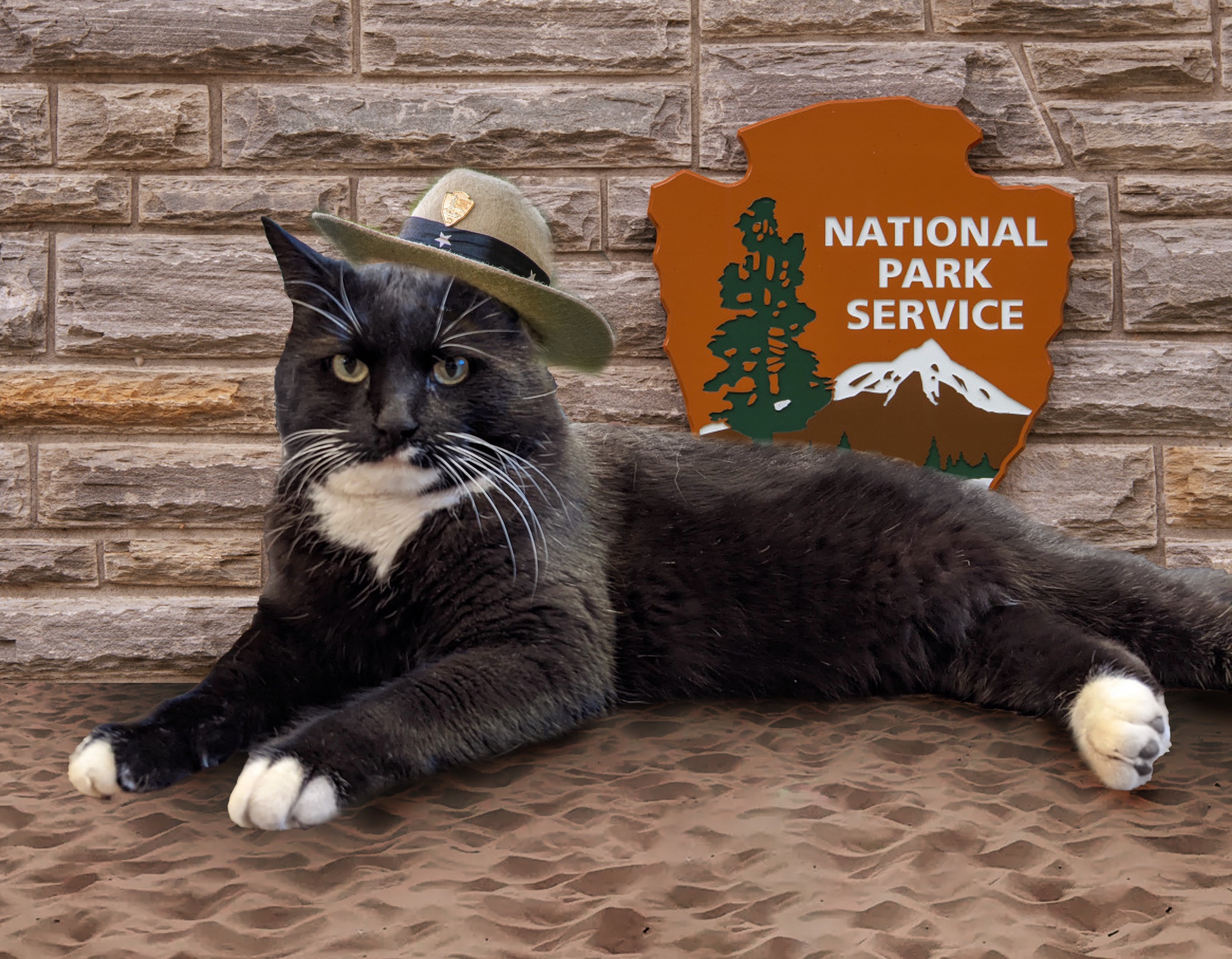 Cosmo photoshopped with a ranger hat on, in front of the National Park Service sign.