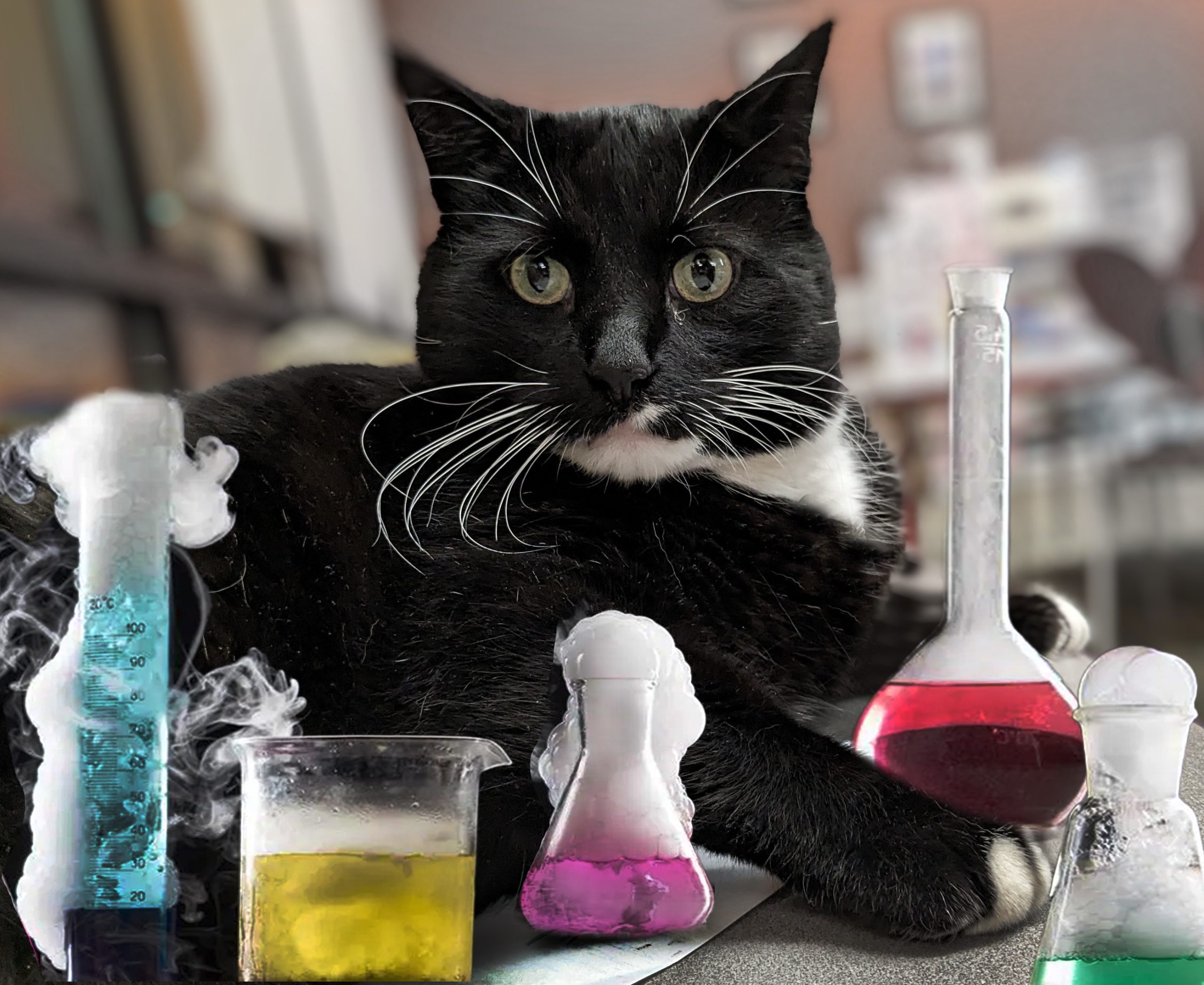 Cosmo with a variety of rainbow-colored beakers.