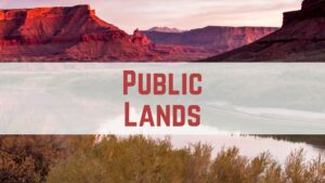 Red rock canyon at sunset with Public Lands text overlay, highlighting natural landscapes and conservation.