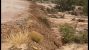 Erosion along a riverbank after heavy rain, showing muddy water and exposed soil with sparse vegetation.