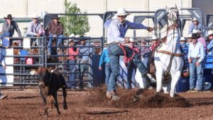 Rodeo cowboy performing a lasso trick on horseback during a calf roping event at a lively outdoor arena.