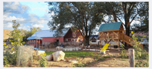 Red barn and wooden playhouse with slide in a sunlit farm setting surrounded by trees and gardens.