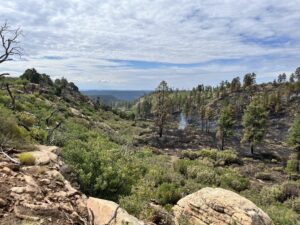 Scenic mountain landscape with green trees, rocks, blue sky, and smoky horizon on a sunny day.
