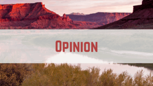 Desert canyon landscape with Opinion text overlay in bold red font. Scenic view at sunrise.