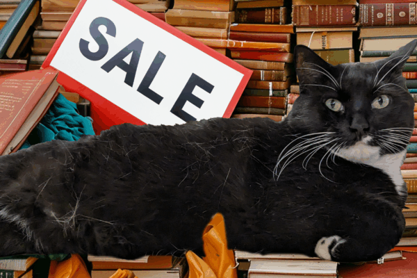Black cat lounging on a stack of books beside a Sale sign in a secondhand bookstore.