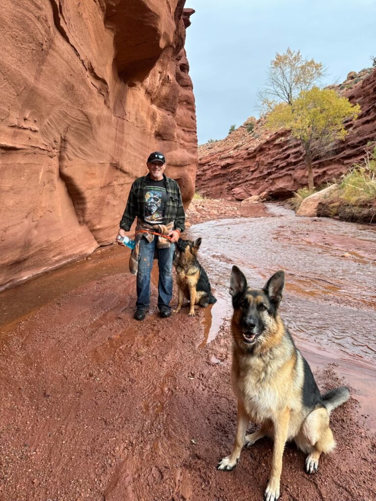 Man hiking with two German Shepherds in a scenic red rock canyon with a small stream and autumn trees.