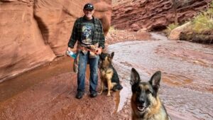 Man hiking with two German Shepherds, one who became a lost dog outside Moab, in a scenic red rock canyon with a small stream and autumn trees.