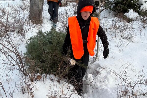 Boy in orange vest dragging a small Christmas tree through snowy forest, followed by another person. Moab's Gustafson Family celebrating Christmas