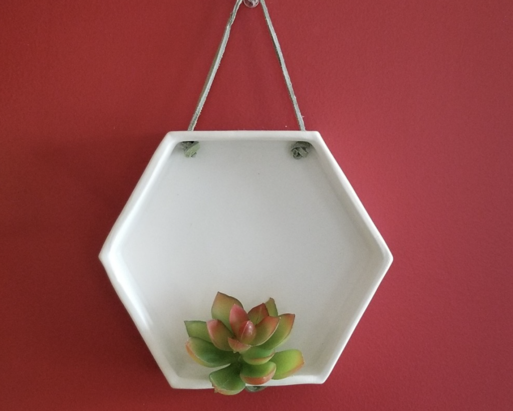 Hexagon wall planter with succulent on a red background.